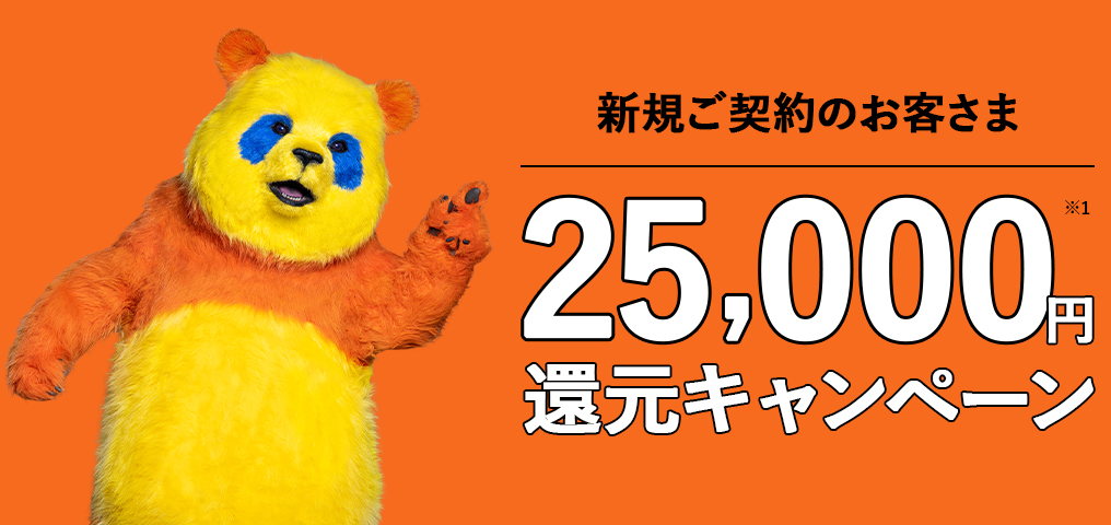 25,000円還元キャンペーン