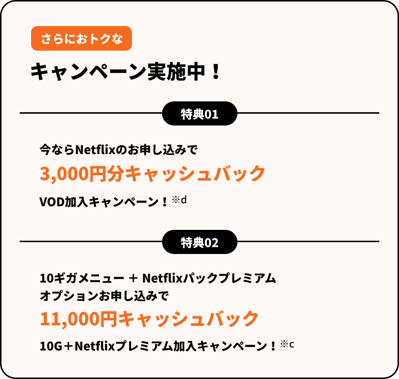 さらにおトクなキャンペーン実施中！【特典01】今なら3,000円分キャッシュバックVOD加入キャンペーン実施中！【特典02】10ギガメニュー＋Netflixパックプレミアムプランオプション加入で、11,000円キャッシュバックキャンペーンも実施中です