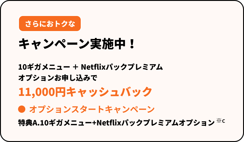 さらにおトクなキャンペーン実施中！10ギガメニュー＋Netflixパックプレミアムプランオプション加入で、11,000円キャッシュバックキャンペーンも実施中です