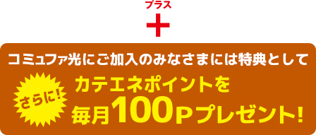 プラス コミュファ光にご加入のみなさまには特典として、さらにカテエネポイントを毎月100Pプレゼント